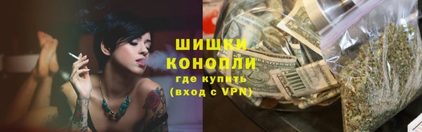 твердый Краснослободск