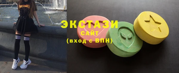 твердый Краснослободск
