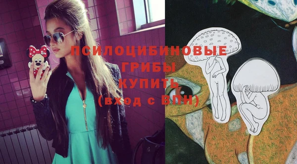 твердый Краснослободск