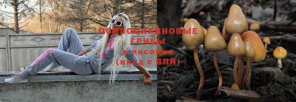 прущие крисы Куйбышев