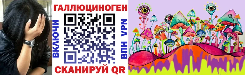 Псилоцибиновые грибы Psilocybe  наркота  Первоуральск 