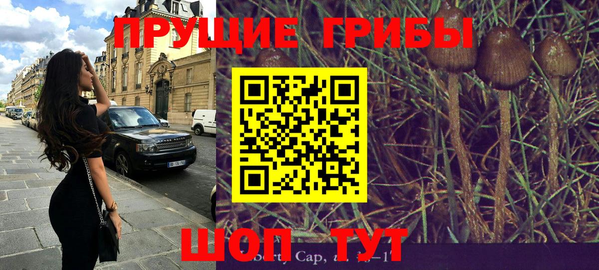 Галлюциногенные грибы прущие грибы  Вход с VPN  Первоуральск 